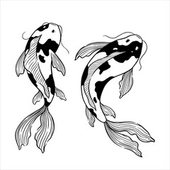 Koi fish illustration best for tattoo or t-shirt design