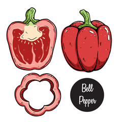 hand draw of bell pepper vector illustration