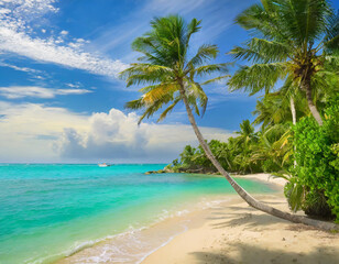 palms on tropical beach