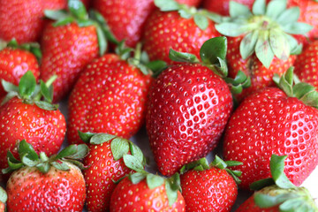 Top view of bright red organic strawberries. Fruit farm harvest. Eating fresh concept. 