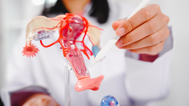 Female doctor specializing in online consultations for reproductive health issues endometriosis, uterine fibroids, gynecologic cancer, HIV/AIDS, interstitial cystitis, PCOS, STDs