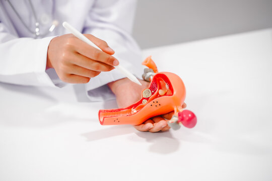 Female doctor specializing in online consultations for reproductive health issues endometriosis, uterine fibroids, gynecologic cancer, HIV/AIDS, interstitial cystitis, PCOS, STDs