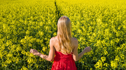 Fototapeta premium Caucasian woman in red dress in scenic yellow rapeseed field