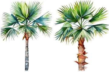Fototapeta premium Watercolor painting, minimalist illustration of two palm trees in bright colors against a white background.