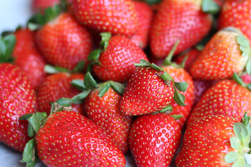 Red ripe strawberries background. Strawberry texture close up photo. Fresh organic berries macro. Eating fresh concept. 