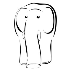 Elefant