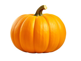 a pumpkin with stem on a white background