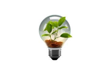 Illuminated Growth: A Light Bulb Garden. On a White or Clear Surface PNG Transparent Background.