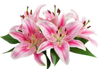Lily Bouquet On Transparent Background.