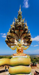 Naga protect buddha