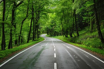Fototapeta premium Road and tree tunnel to find
