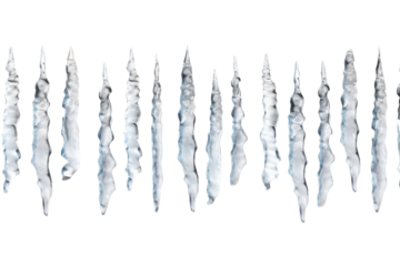 Frosty Ballet: A Serene Line of Ice-Covered Branches. On a White or Clear Surface PNG Transparent Background.