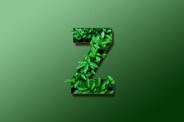 Leaf font Z isolated on green background. Leafs font Z made of Real alive leaves with Previous...