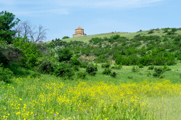 Yellow flowers, green grass, bushes and Dome of Jvari monastery on the hill.