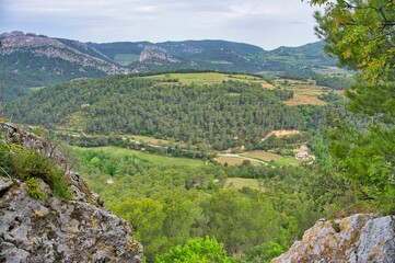 Landschaft in den Dentelles de Montmirail in dre Provence