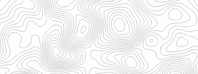 White wave paper curved reliefs abstract background. The topographic map contour in lines isolated. Abstract white topographic map background with lines. Background of the topography map.