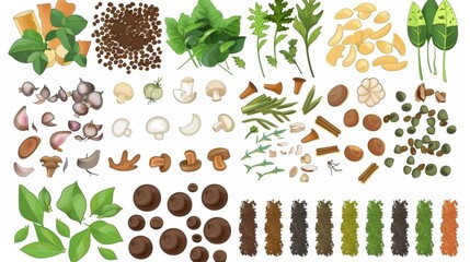 An illustration of the different types of compostable materials categorizing them as greens or browns..