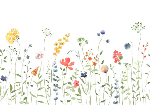 Floral watercolor seamless border with abstract delicate green plants and colorful wildflowers. Isolated floral hand drawn illustration for wallpapers or garden background with design elements.