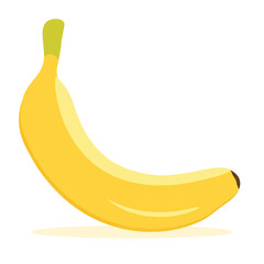 Banana tropical fruit drawn in vector