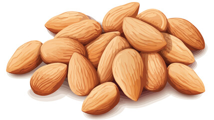 Fresh almond nuts on white background Vector illustration