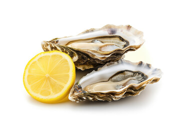 oysters and lemon slice isolated on white background