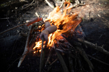 Sausages on the fire. Picnic in the forest. Burning sticks.