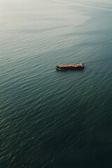 Naklejka premium Lone Cargo Vessel Traversing Vast Ocean Amid Trade Disputes