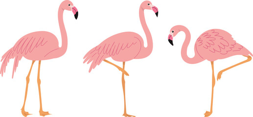 Obraz premium flamingo pink in flat style on white background vector