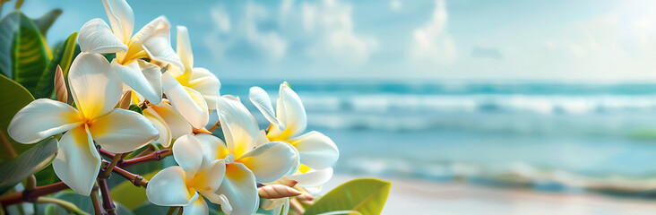 A beautiful white and yellow frangipani flowers on the beach with a blue sky background banner, space for text, - Powered by Adobe