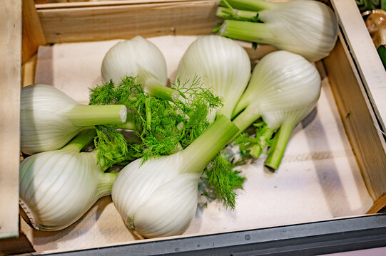 Fresh fennel bulbs in box 