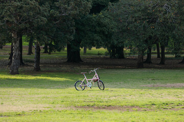 Fototapeta premium 公園に止めてある自転車