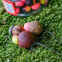 Carpfishing session at the Lake.Carp fishing hooks.Carp fishing rig.Round boilies used as bait for carp fishing.