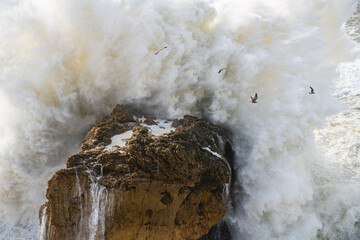Big wave exploding on seaside rock with seagulls in Nazaré, Portugal