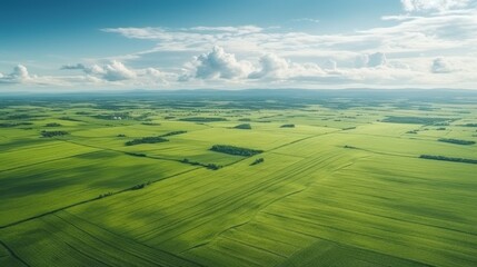 Aerial view of green summer farm fields, crops or pasture with during summer day