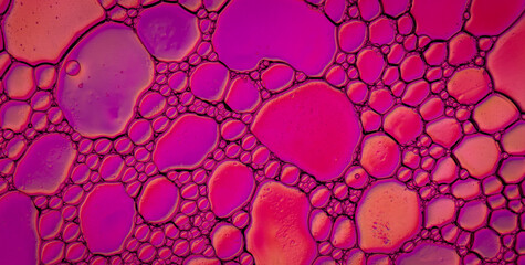 Dynamic Red Patterns: Contemporary Abstract Art