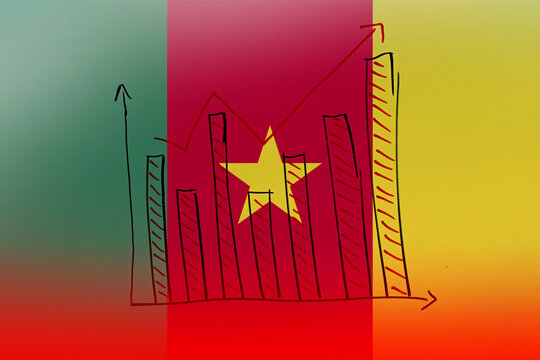 Cameroon bar chart graph with ups and downs, Cameroon country flag with bar graph, increasing  - Powered by Adobe