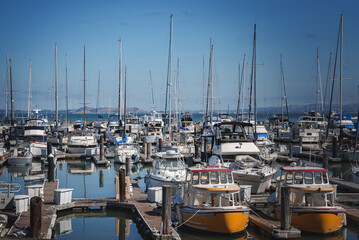 Scenic marina with diverse boats and yachts moored in calm waters. Sailboats with tall masts against clear sky. Bright hulls add color. Likely San Francisco bay location. Tranquil waterfront vibe. - Powered by Adobe