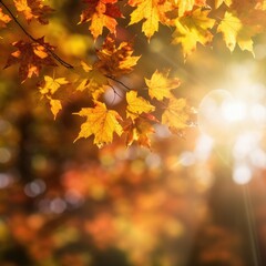 Naklejka na ściany i meble Bright yellow autumn leaves on a forest background.