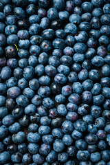 Fresh ripe blueberries background. Berry background. Macro photo. Fresh blue berries.