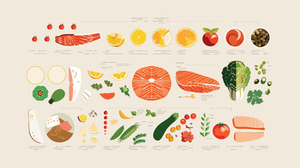 Food infographic design vector illutration Vector  style