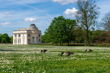 Bagatelle castle in the Bagatelle park with gooses in the foreground. This small castle was built in 1777 in Neoclassical-style. Located in Boulogne-Billancourt near Paris, France