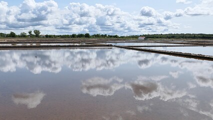 Landscape with large shallow sea salt production fields, separated with concrete barriers, cloudy skies reflecting in water, tree lane on horizon. Late august afternoon sunshine. 