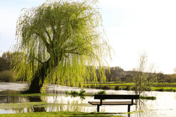 The River Avon burst its banks in Salisbury city in Queen Elizabeth Gardens