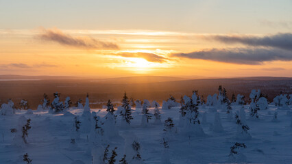 Naklejka premium Winter in the Artic