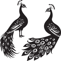 illustration of a peacock