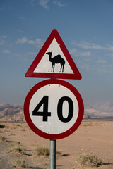 Attention Camel and 40 kmh Road Sign on the Wadi Rum Road in the Desert of Jordan