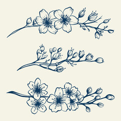 Hand drawn bouquet with flowers and leaves. Vector linear monochrome elegant floral arrangement in vintage style, tattoo design, coloring book, wedding decoration.