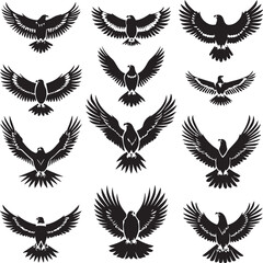 set of eagles vector