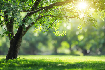 green tree in the park