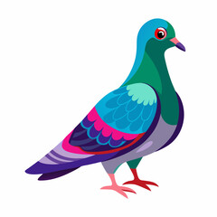 Pigeon Vibrant Vector Illustration